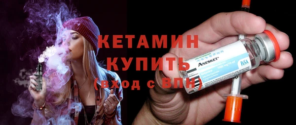трава Ельня
