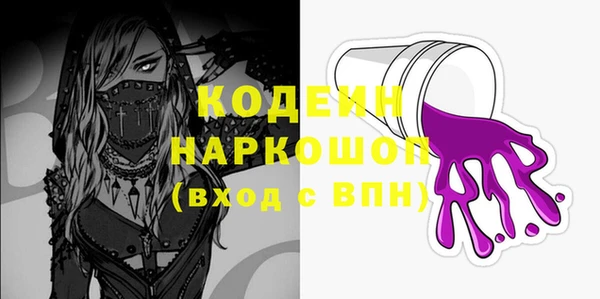 трава Ельня