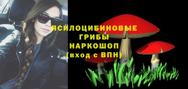 прущие грибы Елизово