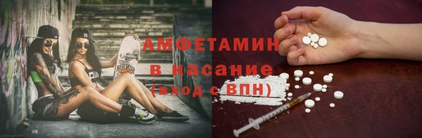 трава Ельня
