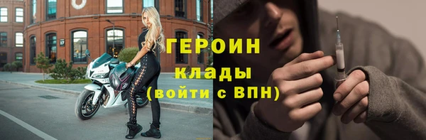 прущие грибы Елизово