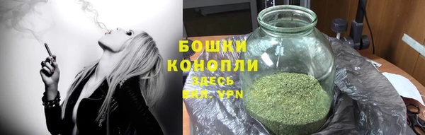 прущие грибы Елизово
