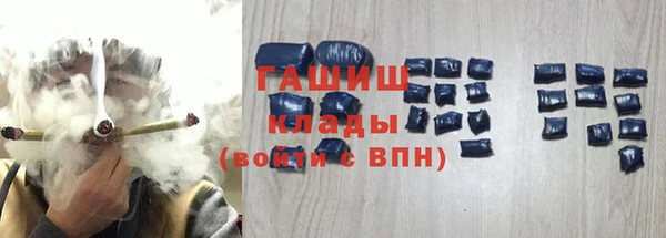 прущие грибы Елизово