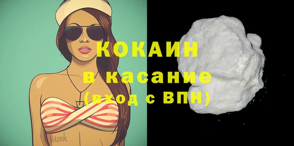 прущие грибы Елизово