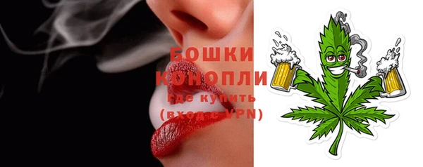 прущие грибы Елизово