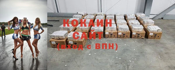 трава Ельня