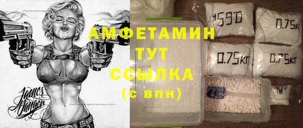 трава Ельня