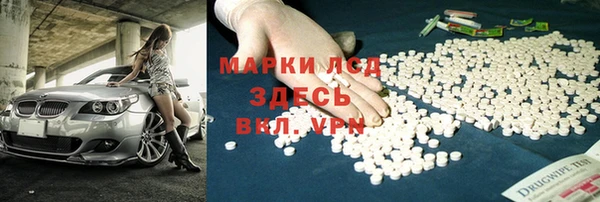 прущие грибы Елизово