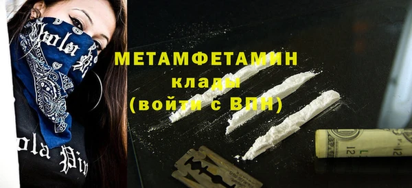 прущие грибы Елизово