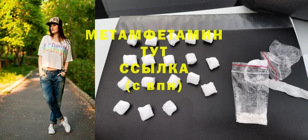 прущие грибы Елизово