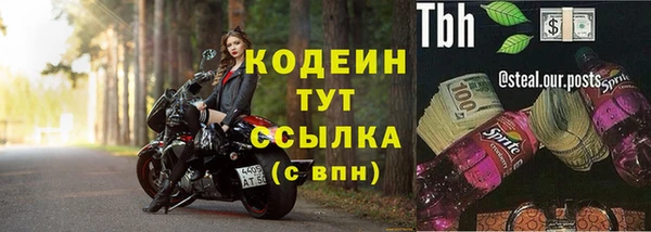 прущие грибы Елизово