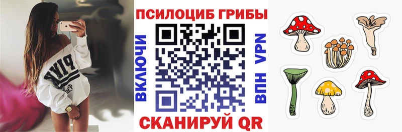 omg ссылки  Петропавловск-Камчатский  Псилоцибиновые грибы ЛСД  наркошоп 
