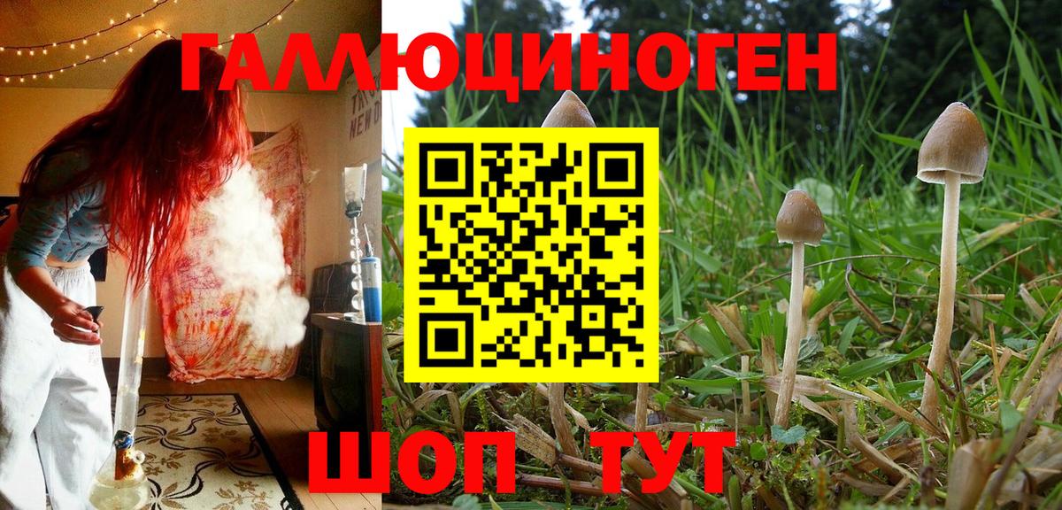Галлюциногенные грибы мухоморы Петропавловск-Камчатский
