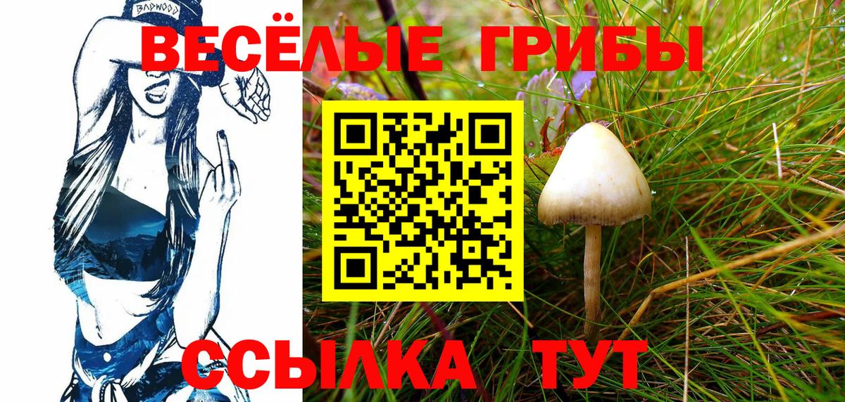 Псилоцибиновые грибы MAGIC MUSHROOMS Петропавловск-Камчатский
