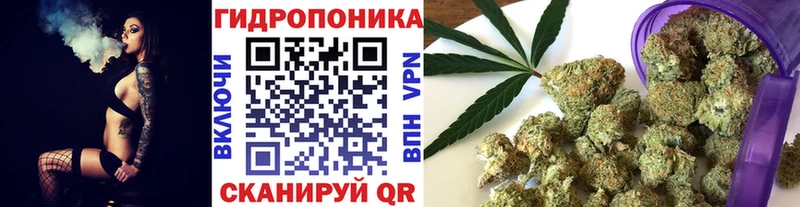 даркнет сайт  Петропавловск-Камчатский  МАРИХУАНА LSD WEED 